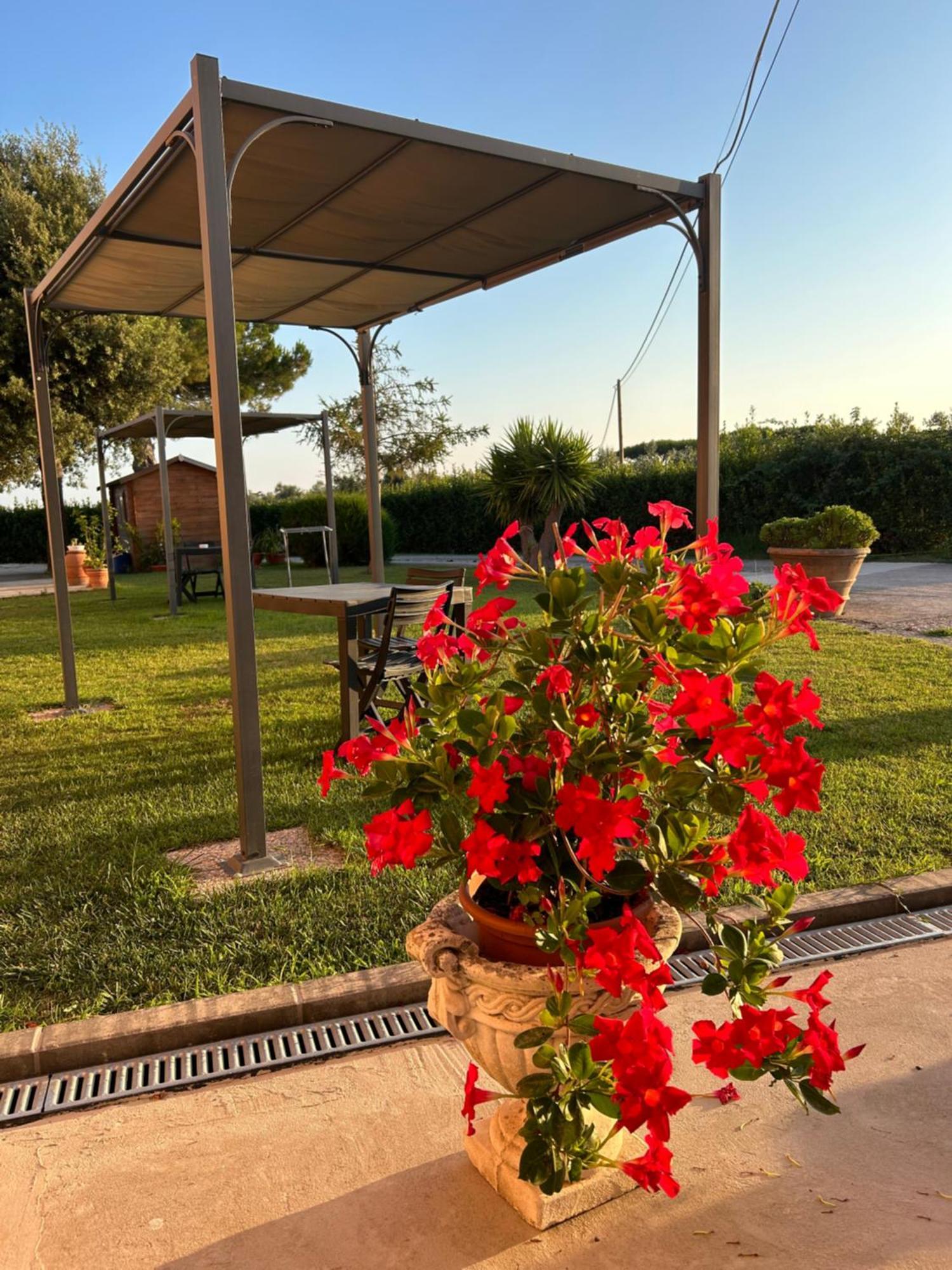 Agriturismo Da Michele E Carmela Di Voli Patrizia Доноратико Экстерьер фото